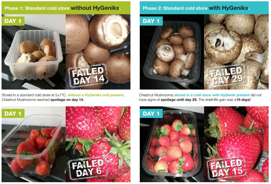 Hygenikx Air Purifier Zink Foodservice