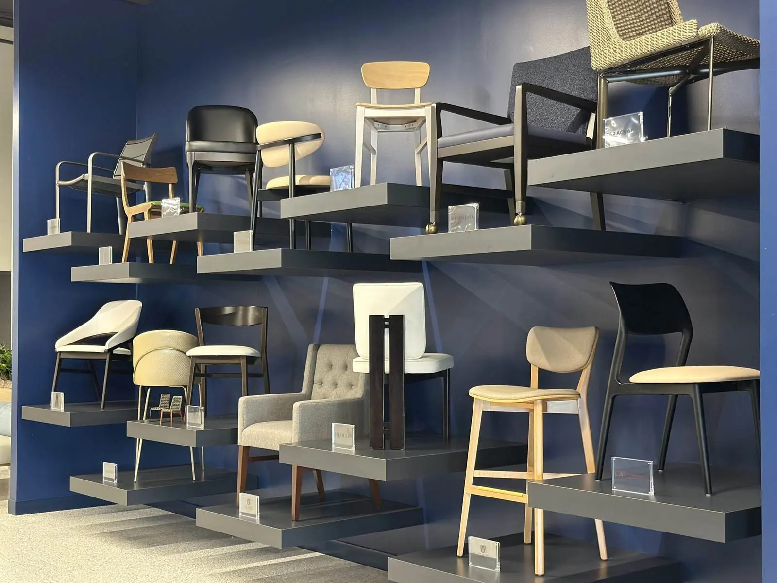 Furniture and design showroom