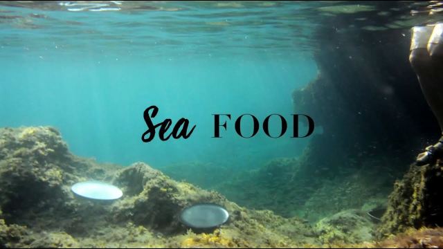 Rosenthal JUNTO: Sea Food