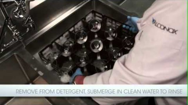 Cleaning with Liquinox